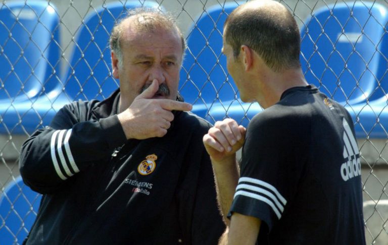 zidane-y-del-bosque-eldisparatedejavi