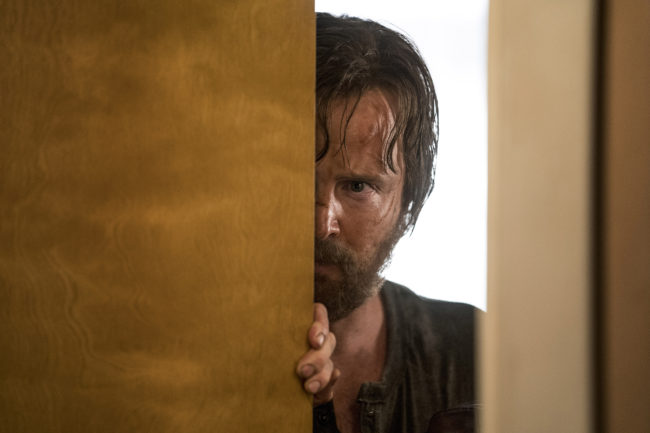 El-camino-el-disparate-de-javi